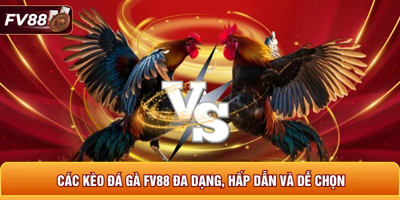 Các kèo đá gà FV88 đa dạng, hấp dẫn và dễ chọn