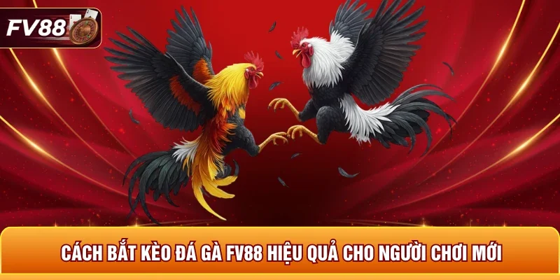 Cách Bắt Kèo Đá Gà FV88 Hiệu Quả Cho Người Chơi Mới