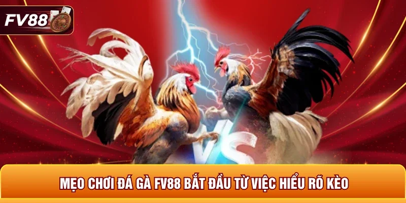 Mẹo chơi đá gà FV88 bắt đầu từ việc hiểu rõ kèo
