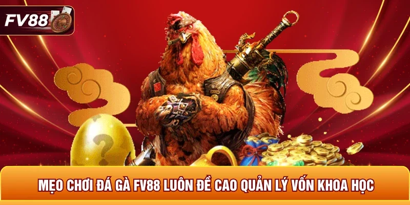 Mẹo chơi đá gà FV88 luôn đề cao quản lý vốn khoa học