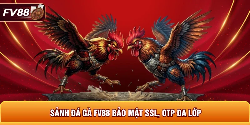 Sảnh đá gà FV88 bảo mật SSL, OTP đa lớp 